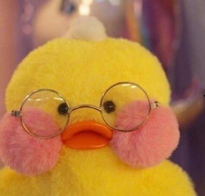 娛樂吃瓜鴨男人品種,吃瓜鴨視角下的男人品種大揭秘