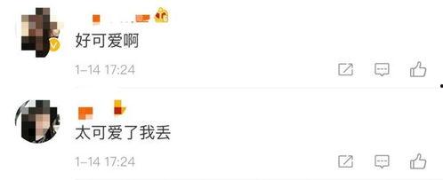 微信聊天回復吃瓜的表情啥意思,揭秘“吃瓜”表情背后的網絡文化現象