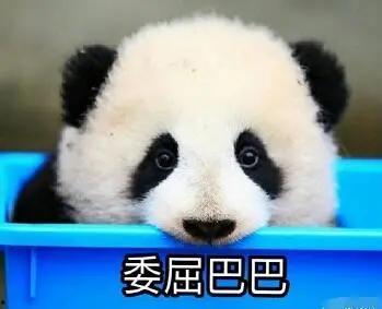 娛樂吃瓜醬熊貓生氣,娛樂吃瓜醬揭秘背后真相