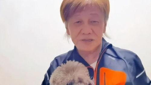 娛樂圈吃瓜系統一口氣看完,一網打盡年度大瓜