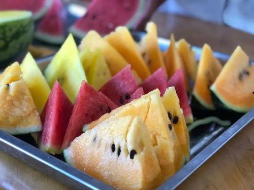 吃瓜網官網最新路線,帶你暢游瓜界新天地