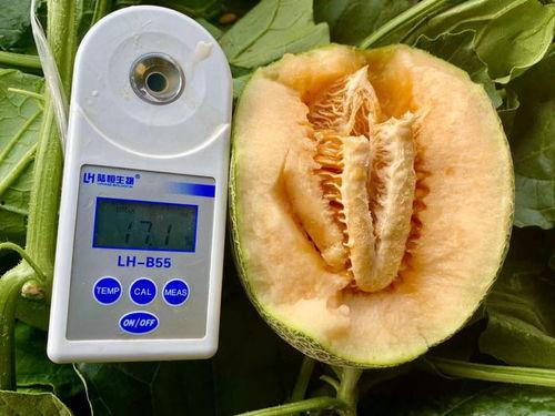 今日吃瓜合集,娛樂圈風云再起，熱點事件盤點