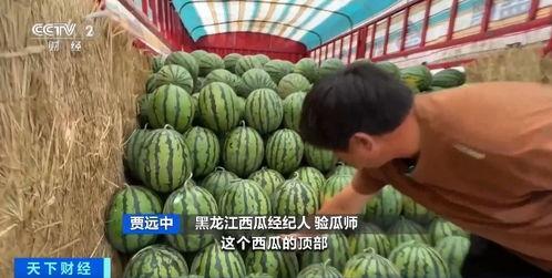 你們在網上吃瓜,揭秘熱門事件背后的真相與笑料