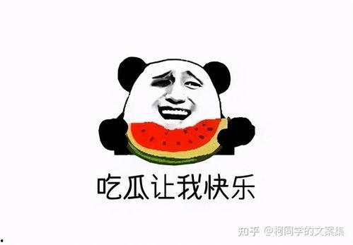 娛樂吃瓜點評文案搞笑,笑料百出,瓜皮滿天飛